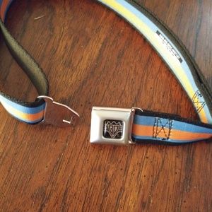 Buckle Down Seat Belt Dog Collar